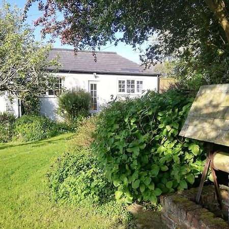 Cozy Country Cottage With Beautiful Rural Views New Quay Exteriör bild