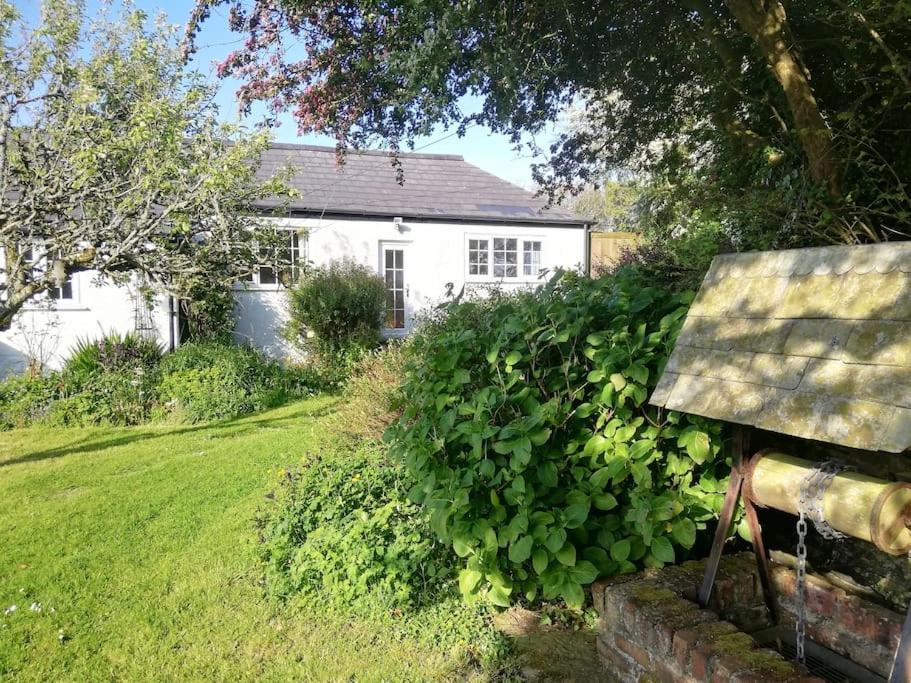 Cozy Country Cottage With Beautiful Rural Views New Quay Exteriör bild