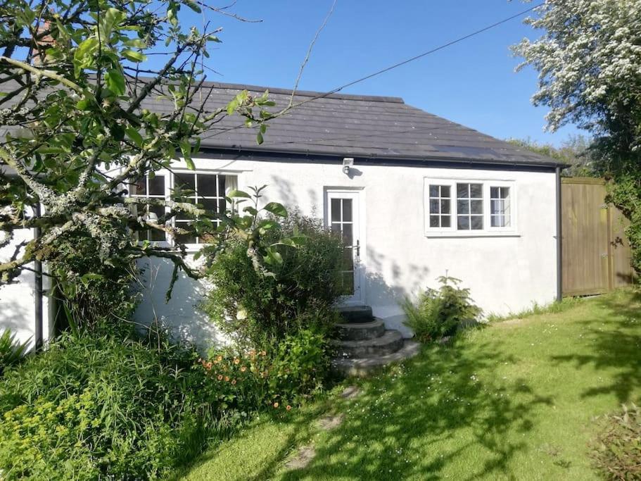 Cozy Country Cottage With Beautiful Rural Views New Quay Exteriör bild